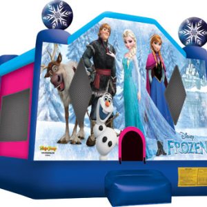 15x15 Frozen Bounce house