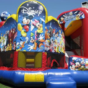 20'x20' Disney 5 in 1 Combo