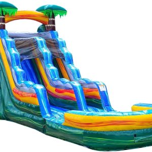 Palm Tree Water Slide